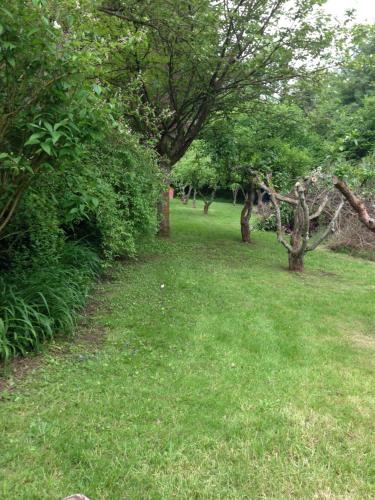a grassy field with trees and bushes in a park at Baie de Somme Villa gros Becs in Dominois