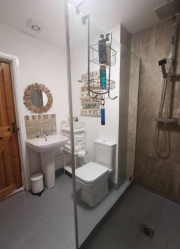 a bathroom with a toilet and a sink at Cottage with 360 views in Gilwern