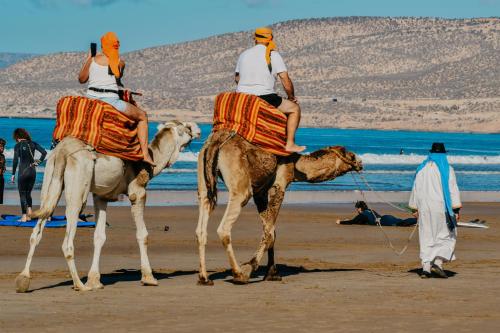 two people riding on camels on the beach at harmony surf lodge in Taghazout