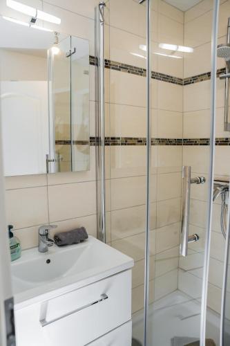 a bathroom with a shower and a sink at Cozy and central Apartment Lübeck in Lübeck