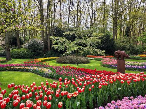 a garden with red and pink flowers in a park at B&B De Hoffstal in Sassenheim