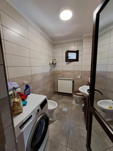 a bathroom with a washing machine and a toilet at Cabana cu trofee in Schitu-Tarcău