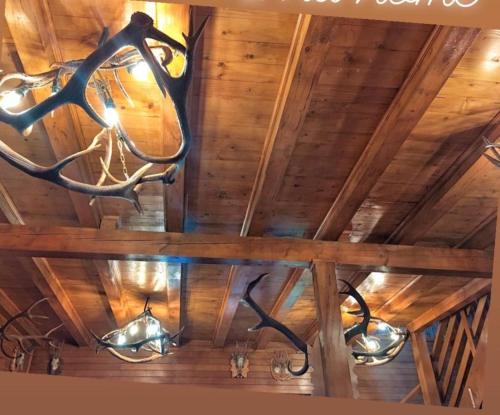 Foto dalla galleria di Cabana cu trofee a Schitu-Tarcău