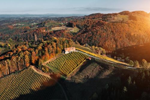 an aerial view of a vineyard in the middle of a forest at Winzerhaus Oswald in Narrath