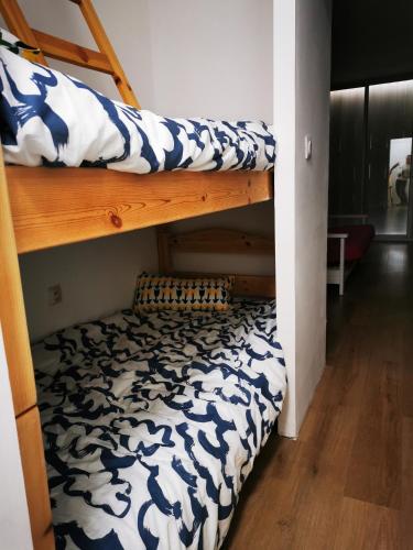 - un lit superposé avec une couverture bleue et blanche dans l'établissement Studio cabine Cosy bord de mer, à La Grande Motte