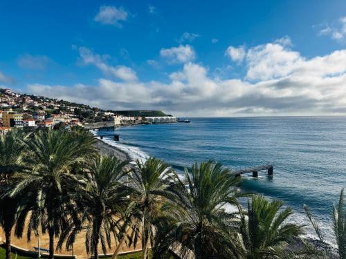 a view of a beach with palm trees and the ocean at Residencial Santo António in Santa Cruz