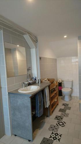 une salle de bain avec un lavabo et des toilettes dans l'établissement Gîte tout confort entièrement équipé 50 m2 autonome, avec parking, à Saint-Sixte