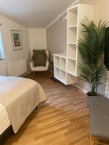 a bedroom with a bed and a chair and a plant at Country flat in beautiful nature in Gadstrup