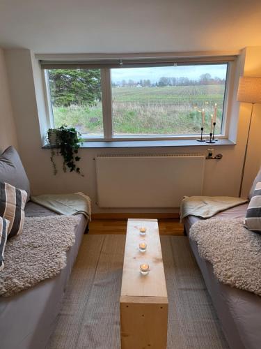 a living room with two couches and a large window at Country flat in beautiful nature in Gadstrup