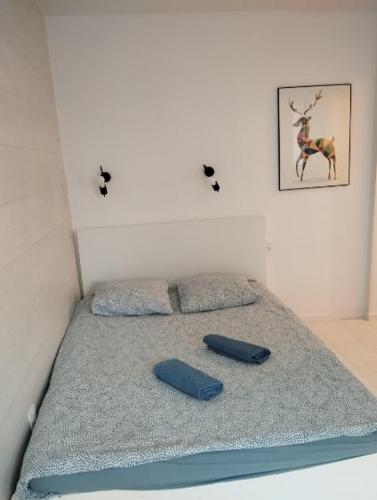 Studio Podwale Przedmiejskie