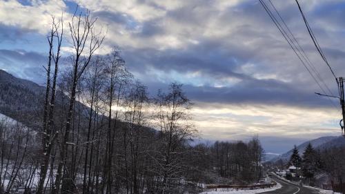 a view of a snowy mountain with trees and a road at Casa Noastră in Vidra