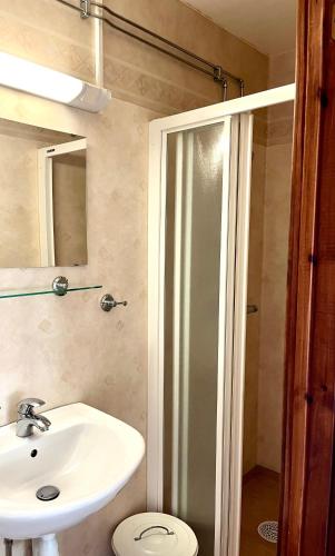 a bathroom with a sink and a toilet and a shower at Trollebo Säteri in Vetlanda