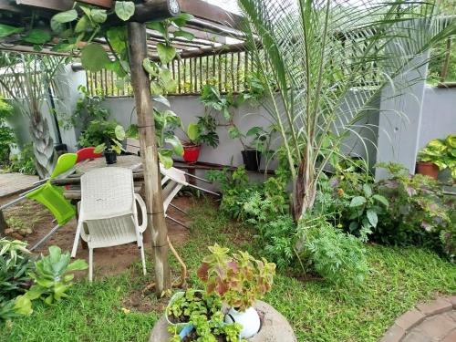 a garden with a table and chairs and plants at Shalakwe Hills-Inn Guesthouse Kasane in Kasane