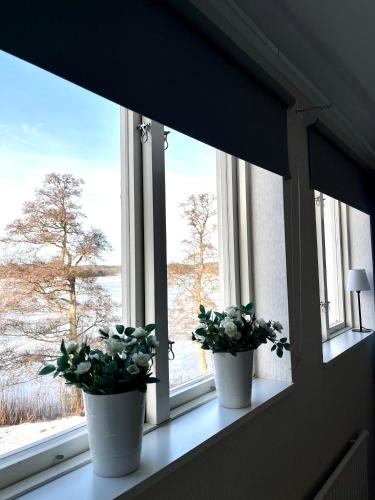 two potted plants sitting on a window sill at Trollebo Säteri in Vetlanda