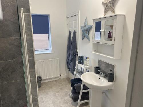 a bathroom with a sink and a shower at Comfortable Norton Studio in Stockton-on-Tees