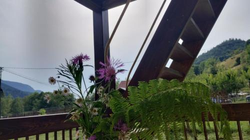 a balcony with a chair and flowers on it at Casa Noastră in Vidra