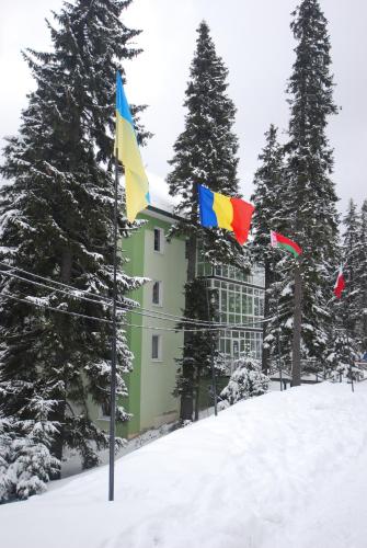 three flags in the snow in front of a building at Zelena Dacha in Dragobrat