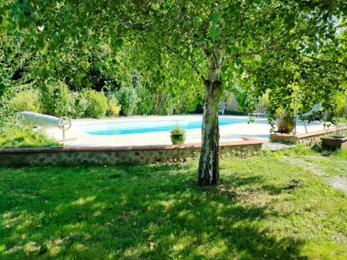 un arbre dans une cour avec une piscine dans l'établissement Villa du Chanoine Clim Piscine Wifi, à Albi