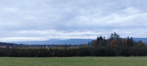 a green field with trees and mountains in the background at PENZION BENEŠOV u BROUMOVA in Broumov