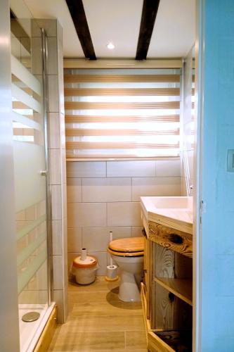 a bathroom with a toilet and a sink at Louloudia Bonsoy Jaune 12 huis in het bos met mooi uitzicht en kalmte in Blaimont
