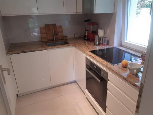 Η κουζίνα ή μικρή κουζίνα στο Sunny garden flat in Munich