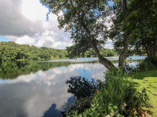 a view of a lake with trees and clouds at Dove in Leominster