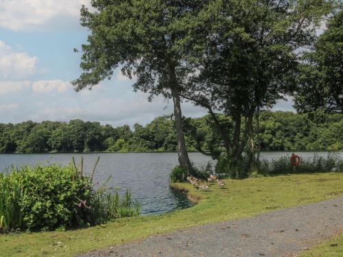 three ducks standing on the grass near a lake at Dove in Leominster