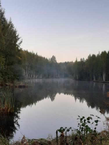 a misty lake in the middle of a forest at Enonkosken Kartano & Guesthouse in Enonkoski