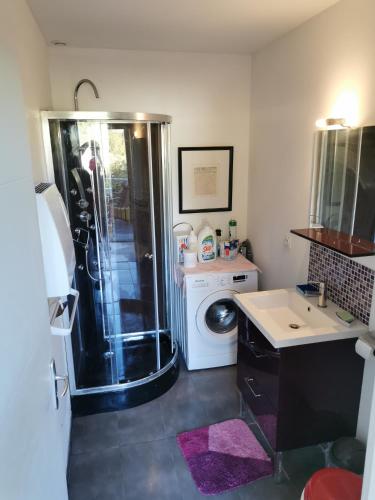 une salle de bain avec douche et machine à laver dans l'établissement Appartement au coeur des vignes region pic st Loup, à Claret