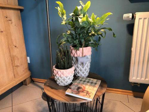 a table with a plant and a book on it at Fewo 5 Jahreszeiten in Bell