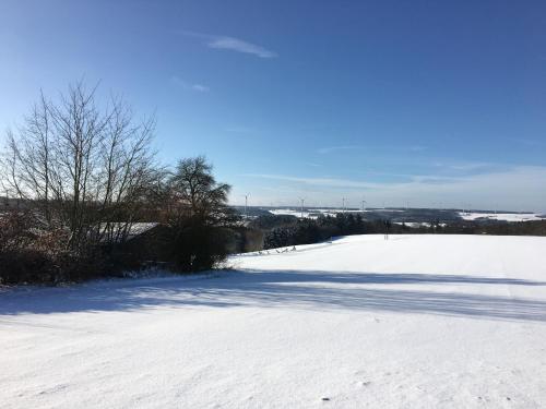 a snow covered road with trees in the distance at Fewo 5 Jahreszeiten in Bell
