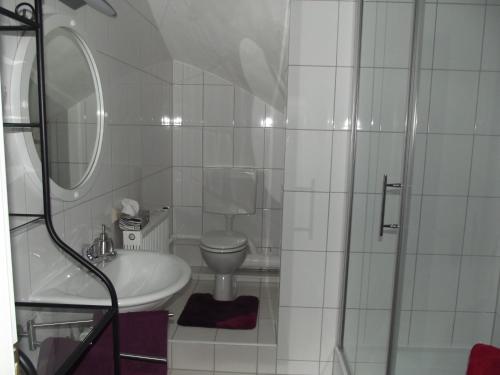 ein Bad mit einem WC, einem Waschbecken und einer Dusche in der Unterkunft Feworeinhard in Speyer