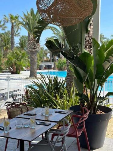 une table avec des chaises et une plante en pot à côté d'une piscine dans l'établissement Camping DEL MAR 4 Étoiles à ARGELÈS SUR MER Mobil-Home Cosy en 3Ch au calme, à Argelès-sur-Mer