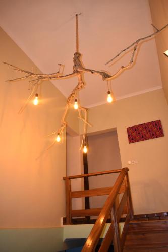 a room with lights hanging from the ceiling at Kili Kivuli in Msaranga