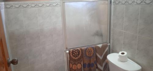 a shower stall with a toilet in a bathroom at Dre Broeders Apartments Juan Dolio in Juan Dolio
