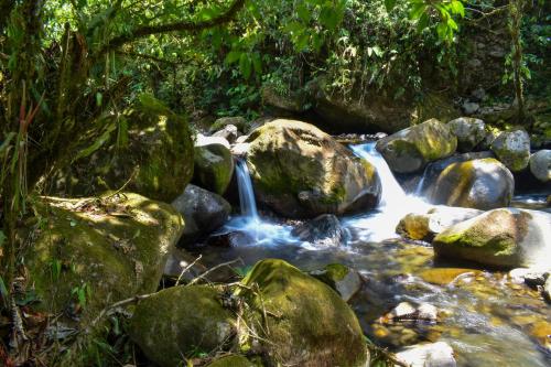 a stream of water with rocks in a forest at Cabaña el Chapuzón montaña y rio, lugar fresco in Cedral