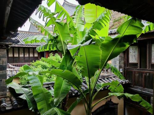 Zahrada ubytování Jianshui Fanqi Boutique B&B