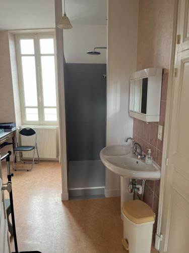 une salle de bain avec un lavabo et des toilettes dans l'établissement Maison de ville 13 couchages à 5 minutes du Pal, à Dompierre-sur-Besbre