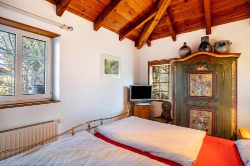 a bedroom with a bed and a tv in it at Maison Fleurie in Schwabwiller
