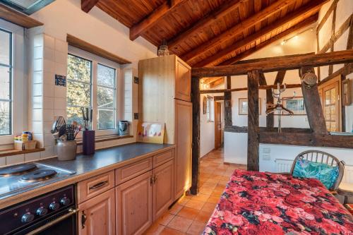 a kitchen with wooden cabinets and a counter top at Maison Fleurie in Schwabwiller