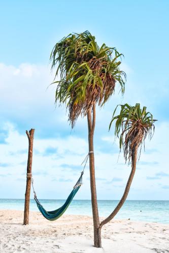 a hammock between two palm trees on a beach at Sea View Villa Ukulhas in Ukulhas