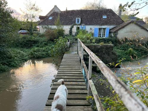 a bird standing on a wooden bridge over a river at Moulin en Route in Blèves