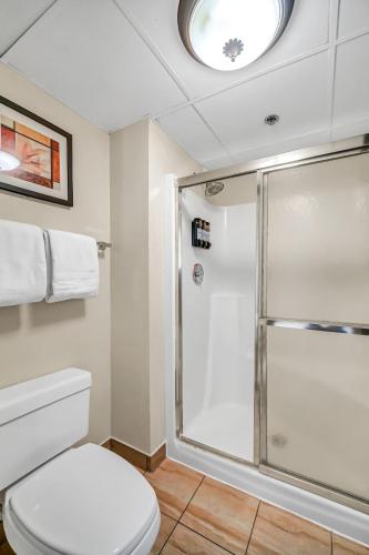a bathroom with a shower and a toilet at Radisson Hotel Schaumburg in Schaumburg