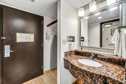 a bathroom with a sink and a mirror at Radisson Hotel Schaumburg in Schaumburg