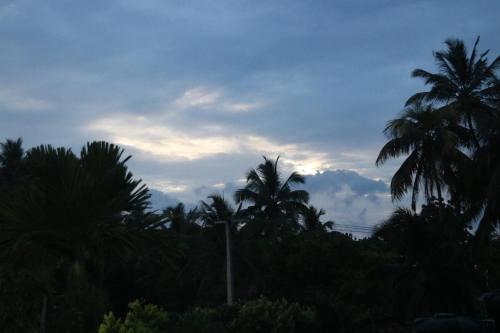 a group of palm trees against a cloudy sky at The Villa Sea Breeze in Talpe