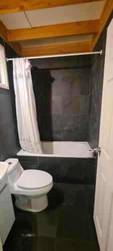 a bathroom with a white toilet and a bath tub at Nidos del Chucao in Pucón