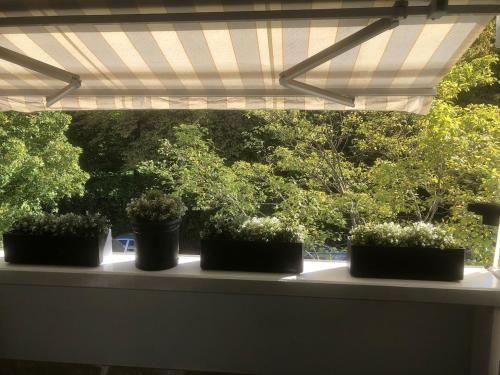 Fotografie z fotogalerie ubytování Cozy 1 room apartment for 2 v Mnichově