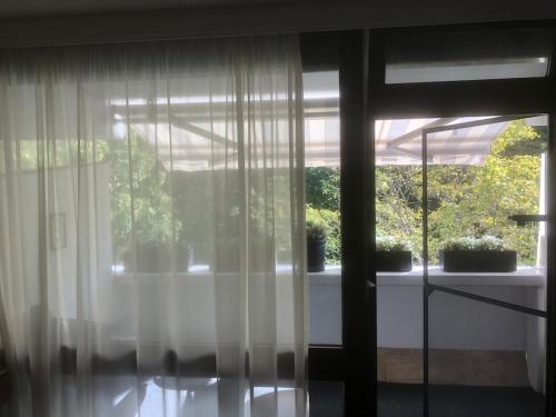 a window with white curtains and potted plants on a table at Cozy 1 room apartment for 2 in Munich