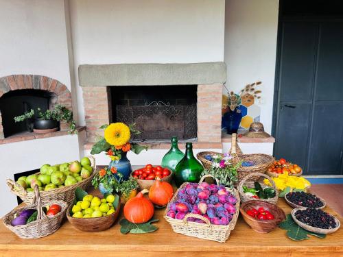 a table topped with baskets of fruits and vegetables at Agriturismo Podere Prasiano in Marano sul Panaro