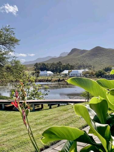 a view of a river with houses and mountains in the background at theLAB Robertson in Robertson